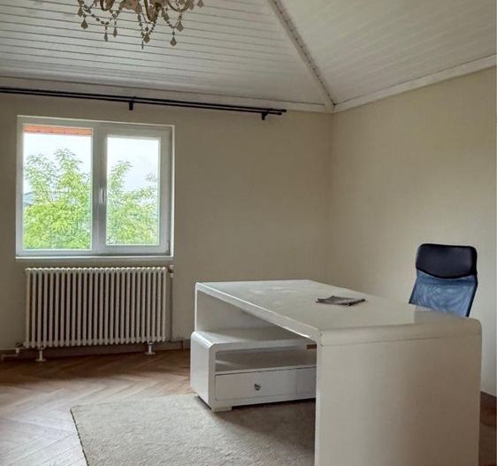 4 bedroom house | Ghermanesti | Forest - Poză 4