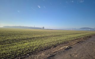 Teren industrial - 41476 mp - Poză 1