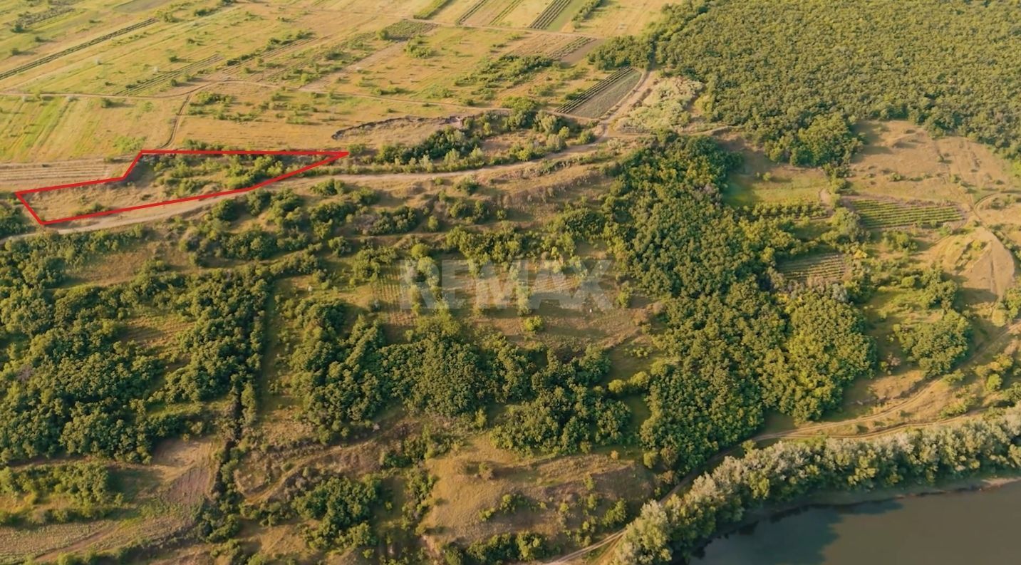 Teren agricol intravilan, 63 ari pe malul Nistrului, Doroțcaia - Poză 1