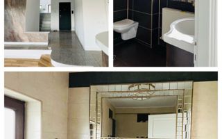 Vila Plopii fara sot, Bucium - Proprietar - Poză 7