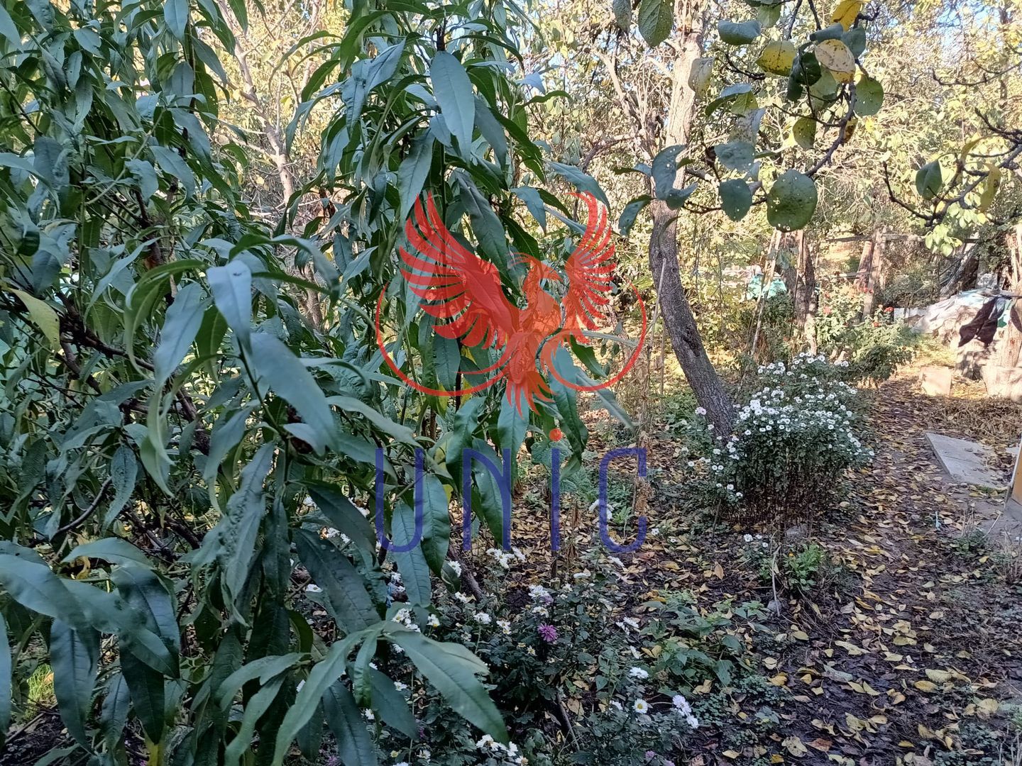 Teren Drumul Muntenilor, 980 mp, 2 deschideri - Poză 5