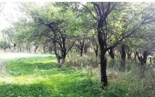 TEREN INTRAVILAN 600 MP, LERESTI, ARGES - Poză 1