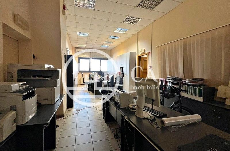 Hală de închiriat în zona industrială Santion, Bihor - Poză 6