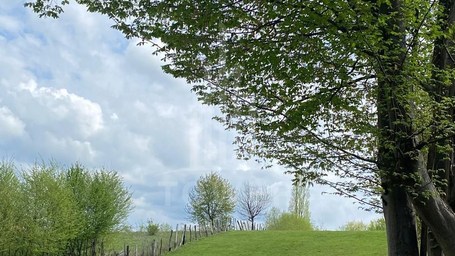 Teren intravilan 1200 mp – utilități la poartă, zonă exclusivistă Sibiel - Poză 4