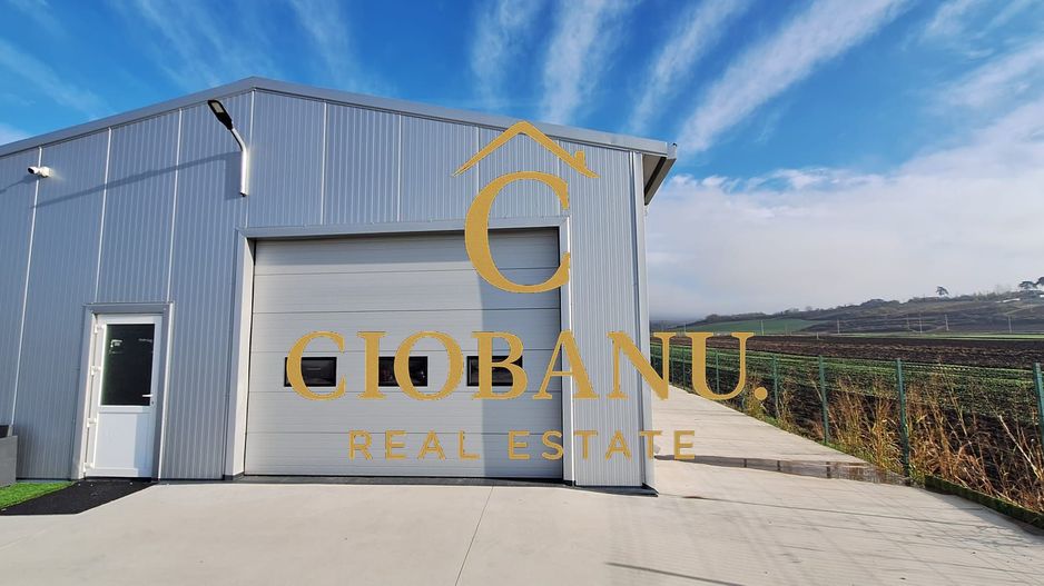 Hala de vanzare in Racarii de Jos - Poză 1