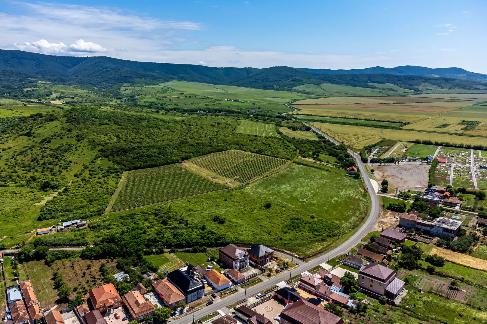 PRET REDUS Oportunitate de afacere, Teren cu vita de vie - Poză 5
