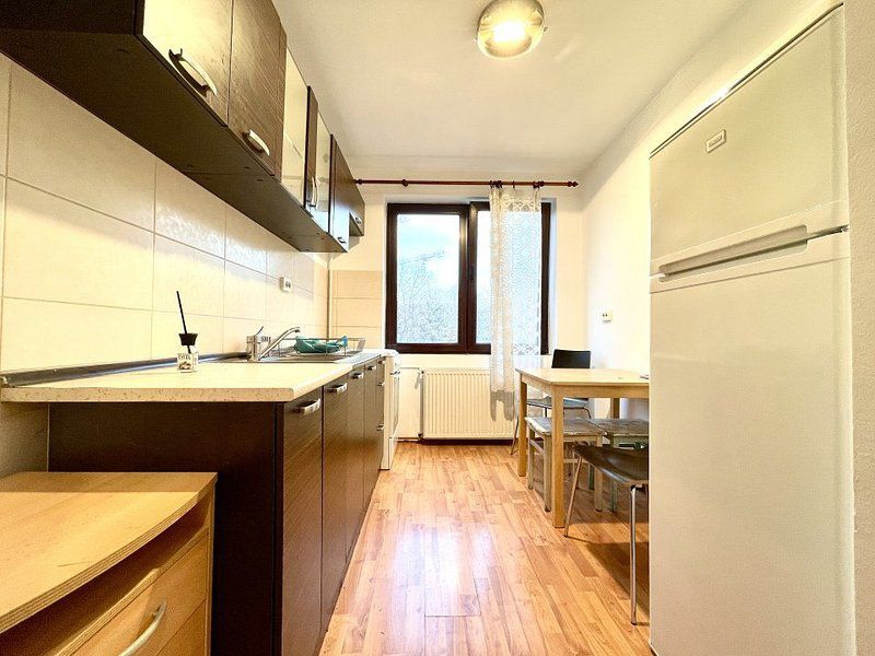 Apartament cu 2 camere, 54 mp util, etaj 3 - Take Ionescu - Poză 15