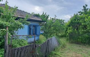 VANZARE CASA | TEREN 2500 MP | LIVADA SI VIE | SAT BREBINA – SCRIOASTEA