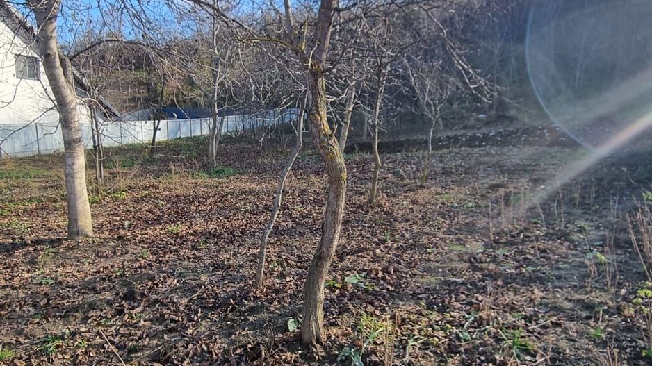 Casa modesta cu teren generos, zona Magura, - Poză 15