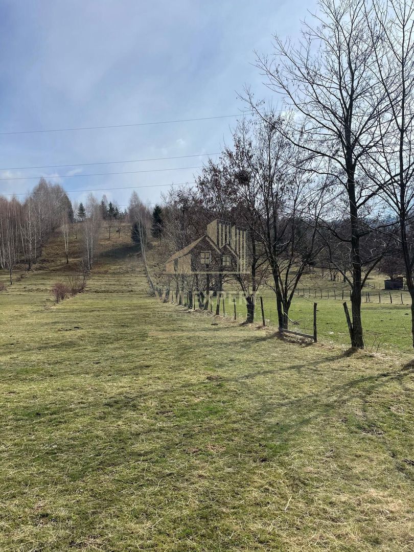 TEREN INTRAVILAN 2500 MP, LERESTI, ARGES - Poză 1