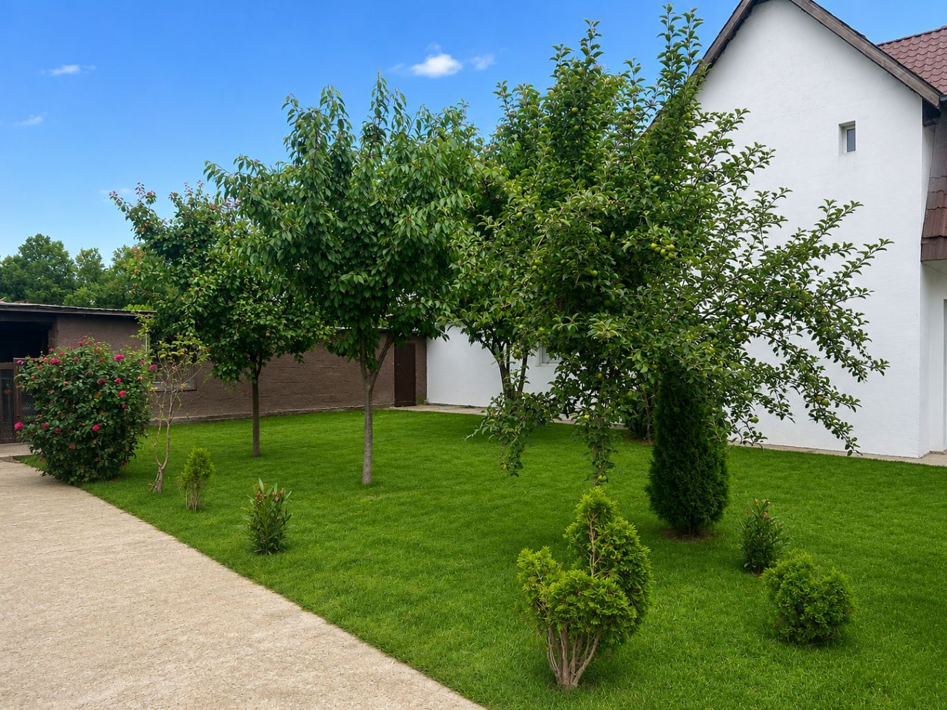 DUPLEX SANMIHAIU ROM - Poză 2