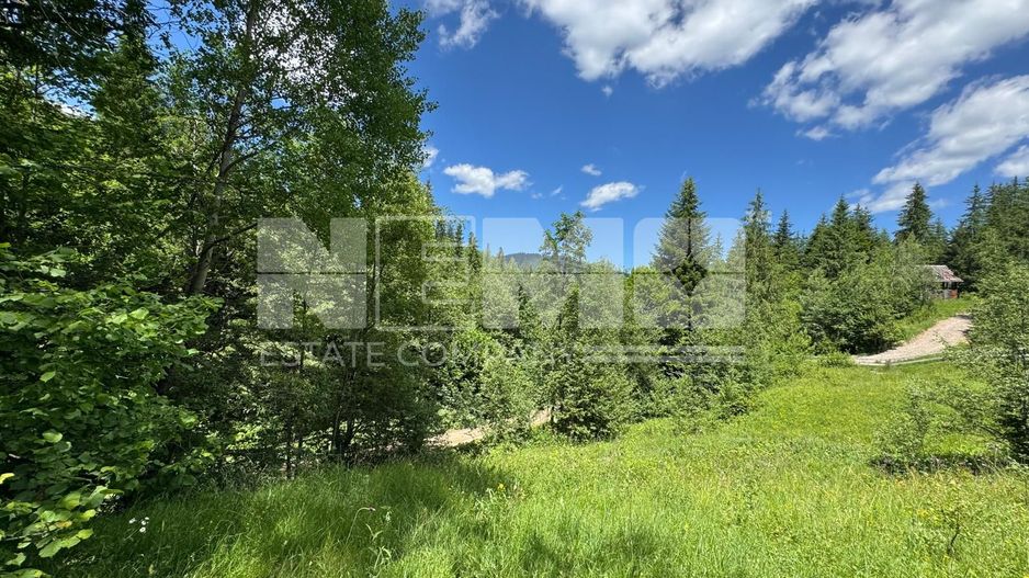 TEREN EXTRAVILAN DE VANZARE | CAMPULUNG MOLDOVENESC | 258.720€ - Poză 7