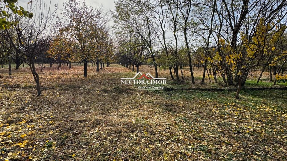 NECTORA IMOB-Teren cu livada matura+Anexa racordata la trifazic,9162mp - Poză 7