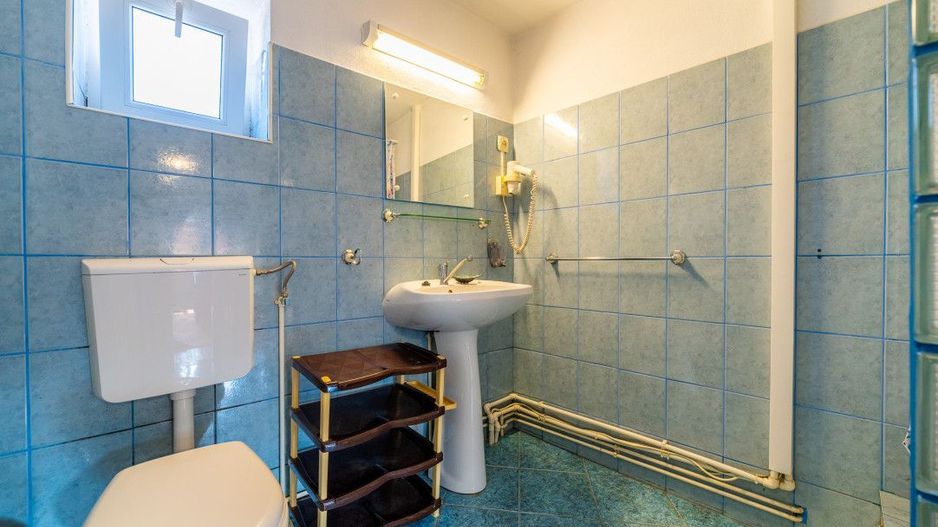 Casa + Pensiune deosebita - Orlat, Sibiu - Poză 33