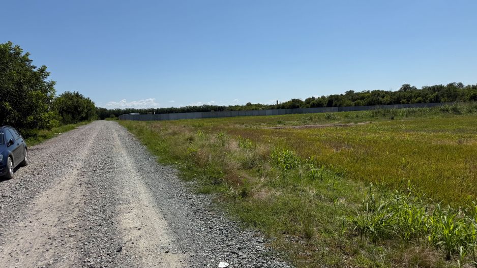 Vanzare Teren 3000 mp Branesti - Makita Ilfov - Poză 7