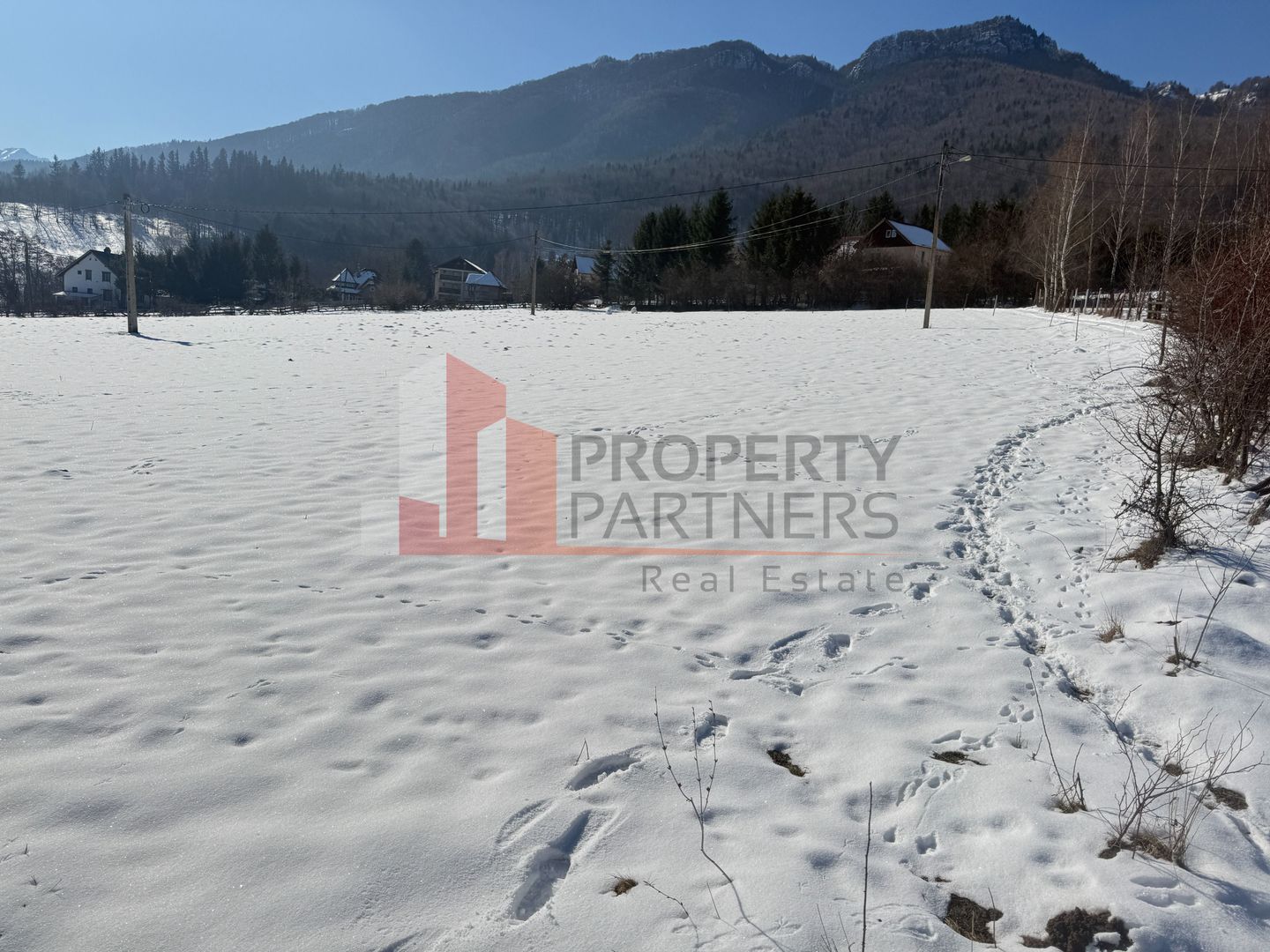 Teren Bran Tohanita | Intravilan 1.379 mp | Vedere Panoramică| - Poză 16
