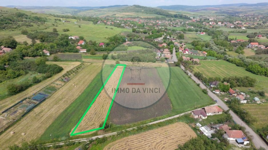 Teren Intravilan 1.439 mp Borșa, Cluj – Ideal Casă sau Cabană - Poză 4