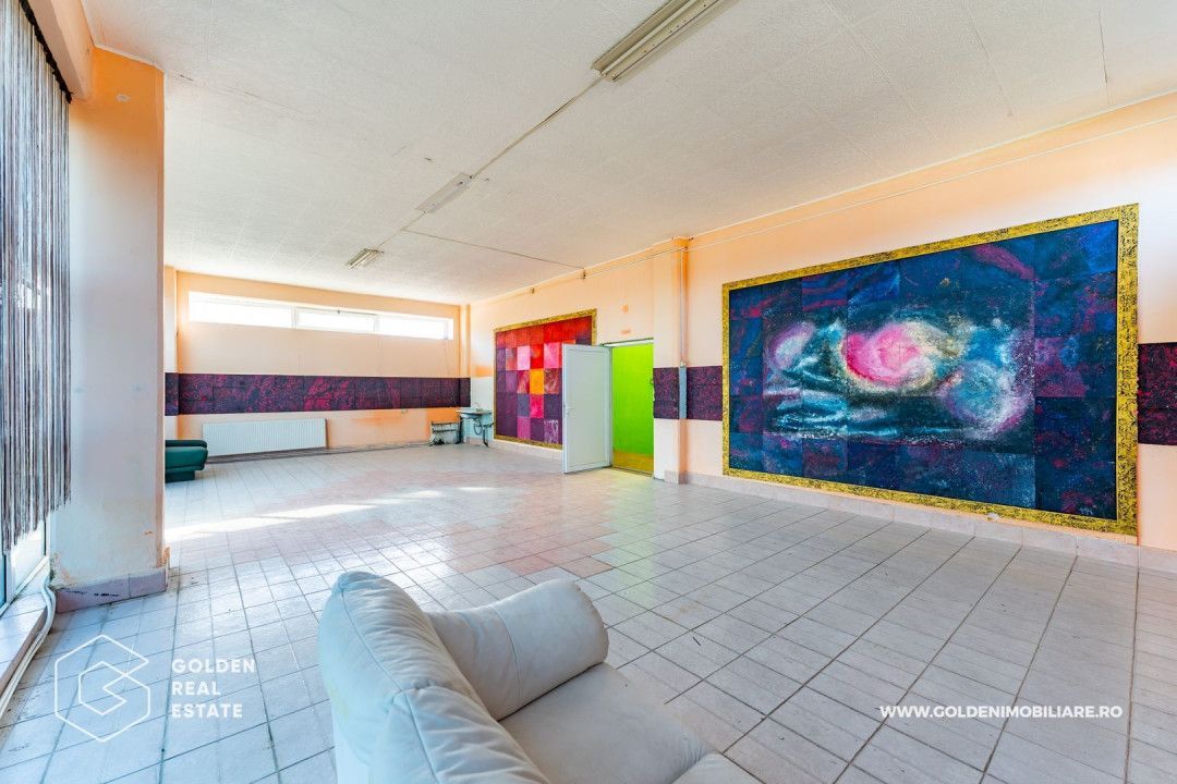 Hala pentu productie In zona Micalaca - Poză 29