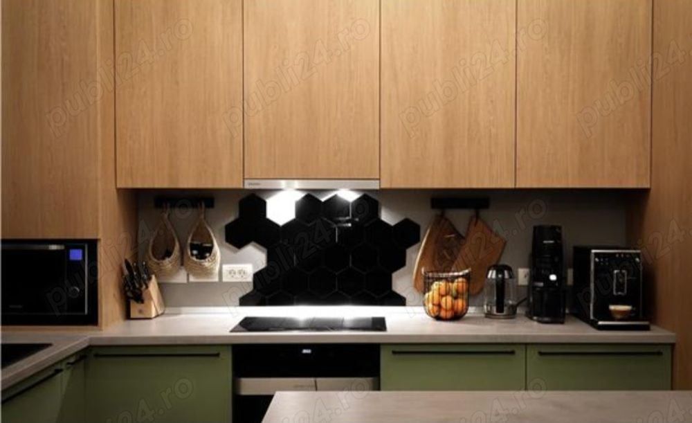 Apart deosebit pe malul Begai - Poză 4