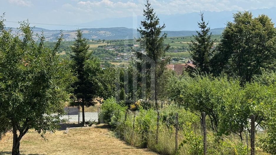 Casa cu 3 camere si teren | 111mp utili 450mp teren | Daia Noua | EXCLUSIVITATE - Poză 8