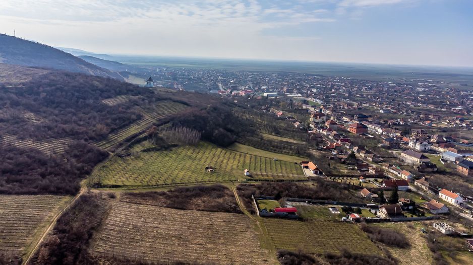 Teren pe deal la Șiria - Poză 3