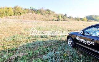 Teren 25.000 mp.  Comuna Voiniceni ,12 euro mp.comision ZERO - Poză 7