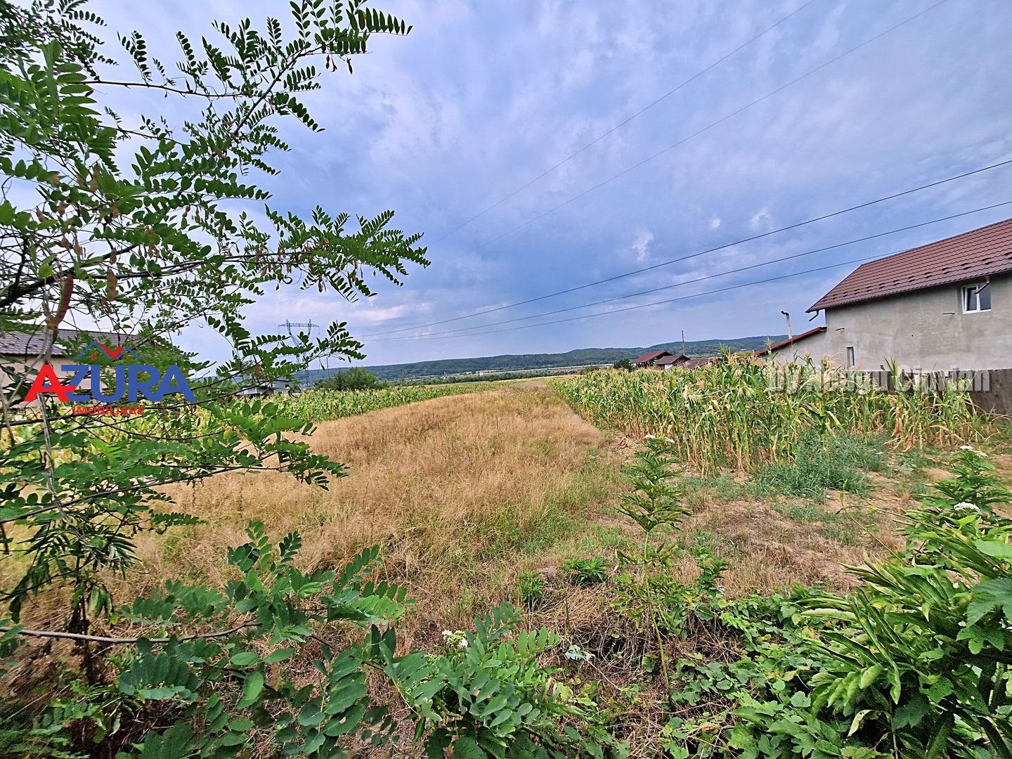 AZURA Imobiliare - Teren Budeasa Galasesti Calotesti - Poză 9