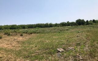 Teren intravilan de vanzare , Tautii Megheraus - Poză 2