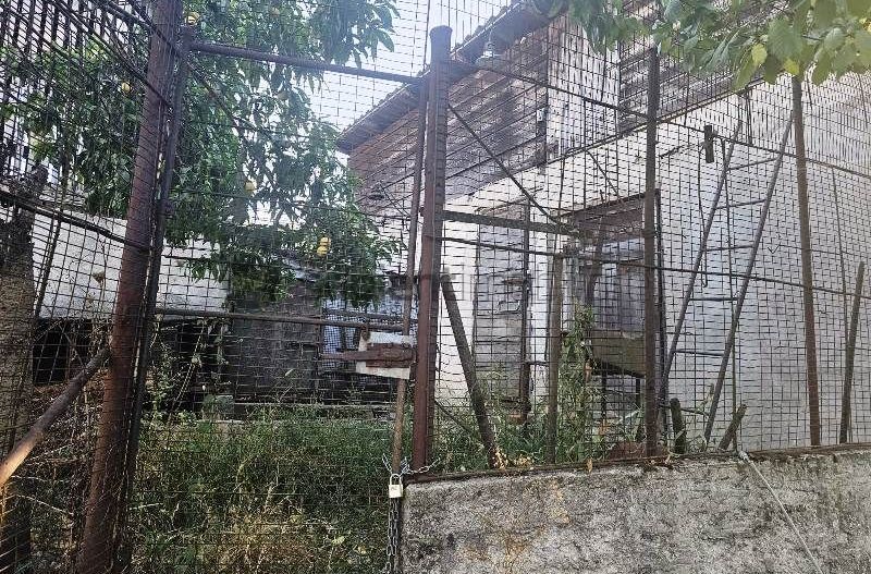 Teren de vanzare str.Colinelor cu casa demolabila - Poză 9