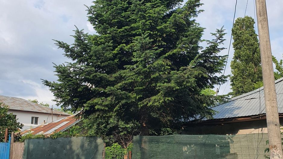 Teren intravilan 190 mp curti constructii - Lac Plumbuita - Poză 1