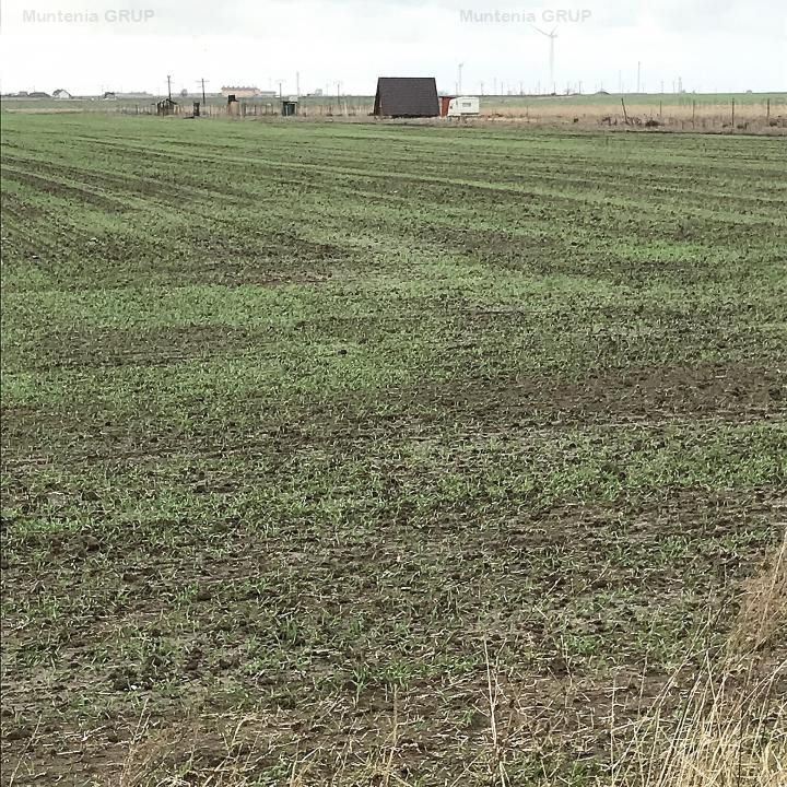 CORBU spre plaja Corbu, teren intravilan 965 mp. ideal constructii - Poză 16