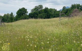 Teren Intravilan 3093 mp-ideal case/cabane/pensiune-Bistrita Bargaului - Poză 3