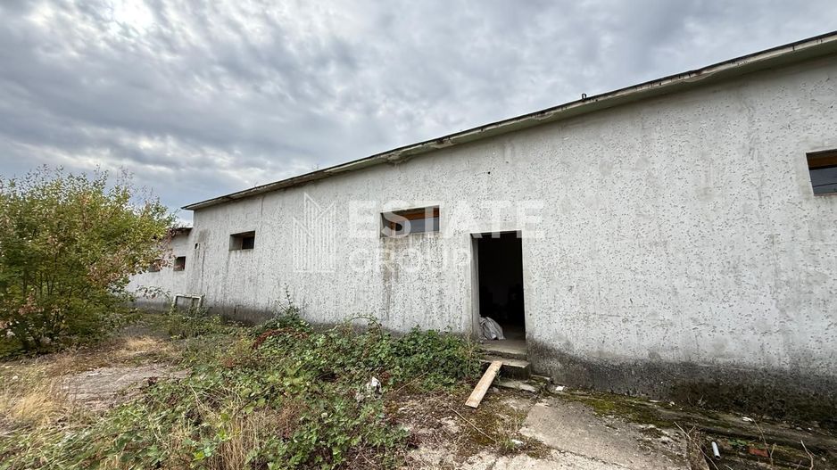 Hala de productie sau pentru depozitare Ortisoara - Poză 1