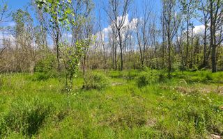 Teren de vanzare / Dem Radulescu - Poză 9