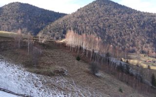 In locatia de basm: - Pestera, Moieciu, Brasov, utilitati, accesibilitate - Poză 29