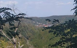 Casă de vânzare la liziera pădurii – Comuna Bogați, Argeș - Poză 16