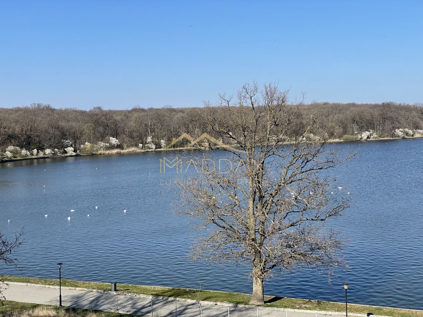 Duplex 4 camere _LUX_Modern***Lake view//Chitila - Poză 22