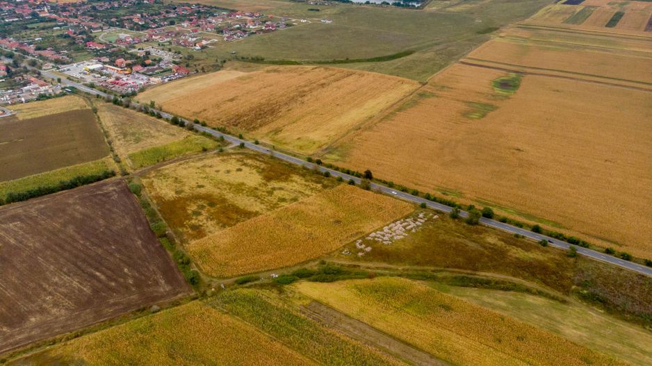 Teren de 19798mp în Zimandu Nou - Poză 9