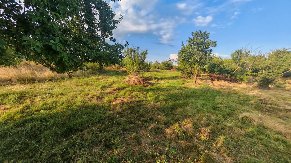 Teren intravilan 1.600 mp Mioveni – Zona Pruni - Poză 6