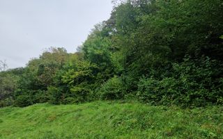 Exclusivitate!! Teren intravilan | Valea Ghinzii | 34 ari | - Poză 7