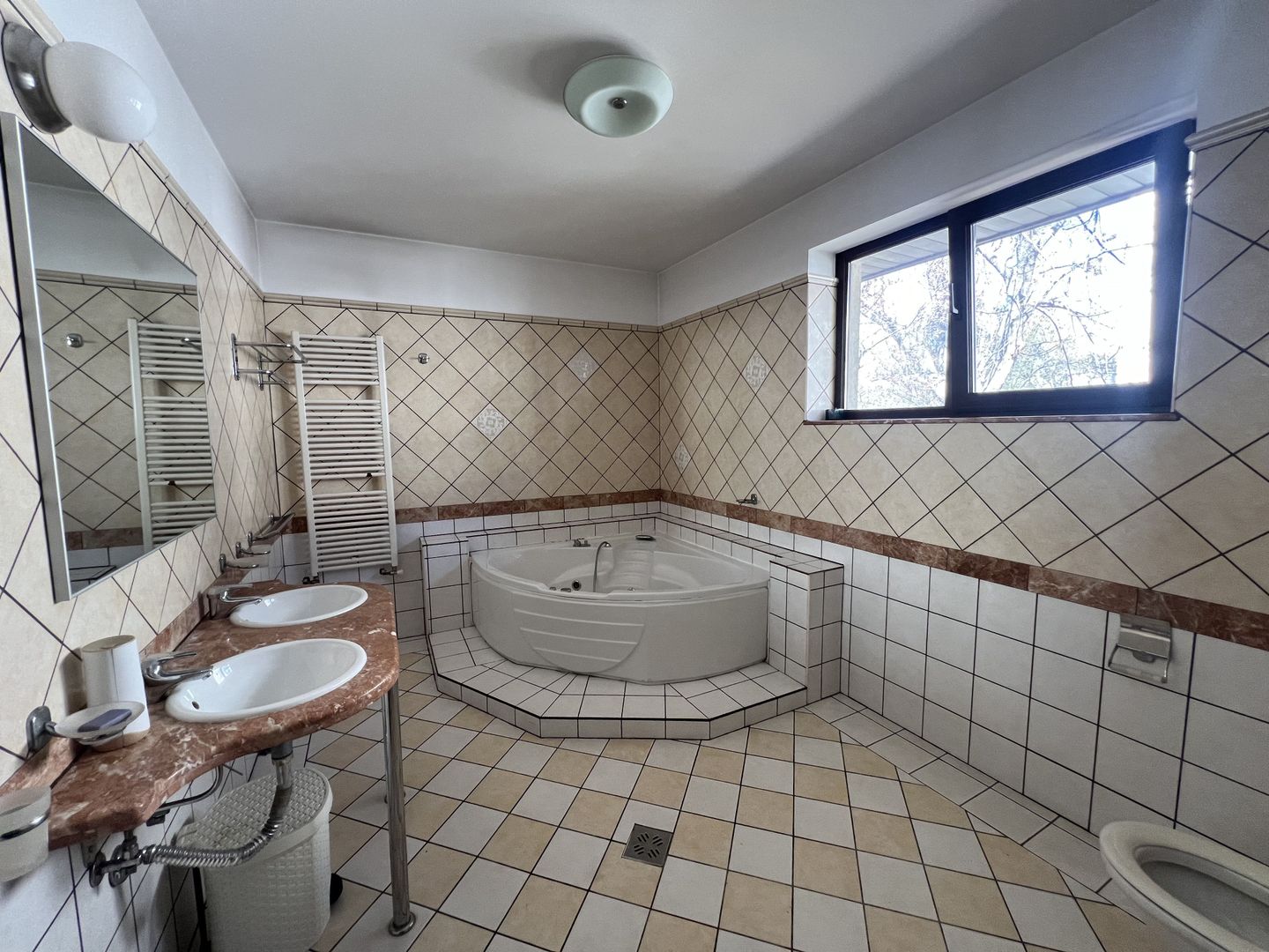 Vila superba Baneasa - Dobrogeanu Gherea - Poză 10