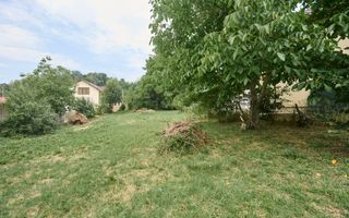 Teren 2240 mp intravilan + casa batraneasca Hintesti-Basangesti - Poză 8