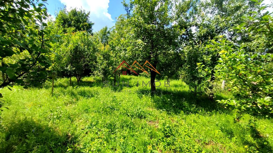 CASĂ INDIVIDUALĂ CU LIVADĂ | 2.195 MP TEREN | POIANA CÂMPINA - Poză 20