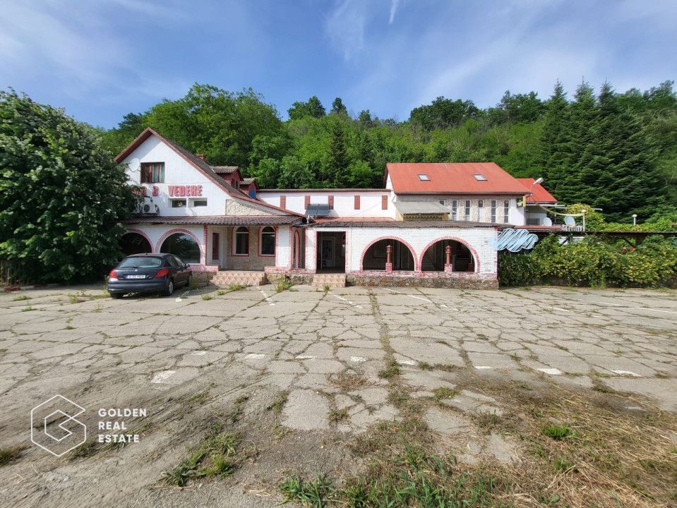 Casa P+1+M, Lipova - Poză 1