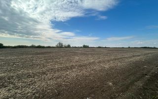 COMISION 0 | Teren extravilan arabil | 10000mp | Sacalaz - Poză 1