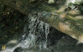 Teren Extravilan 20.000Mp I Stoenești -Vâlcea I Apă Curentă și Pădure - Poză 5