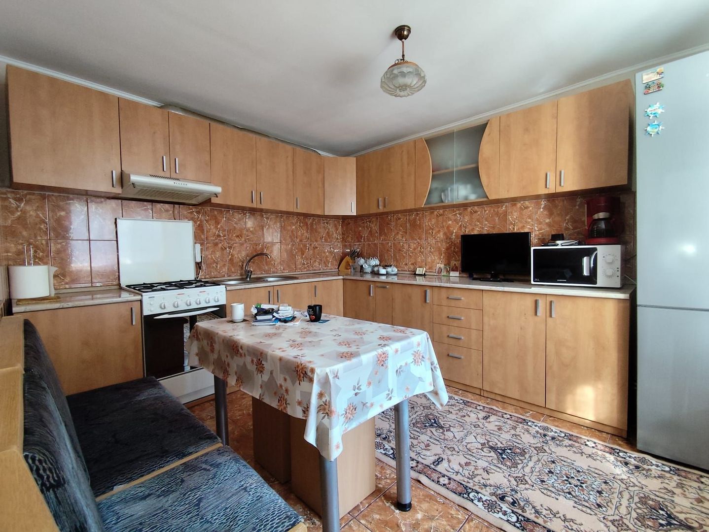 Casa la tara - teren 2826 mp, acces auto, in Sacadat, Bihor - Poză 11