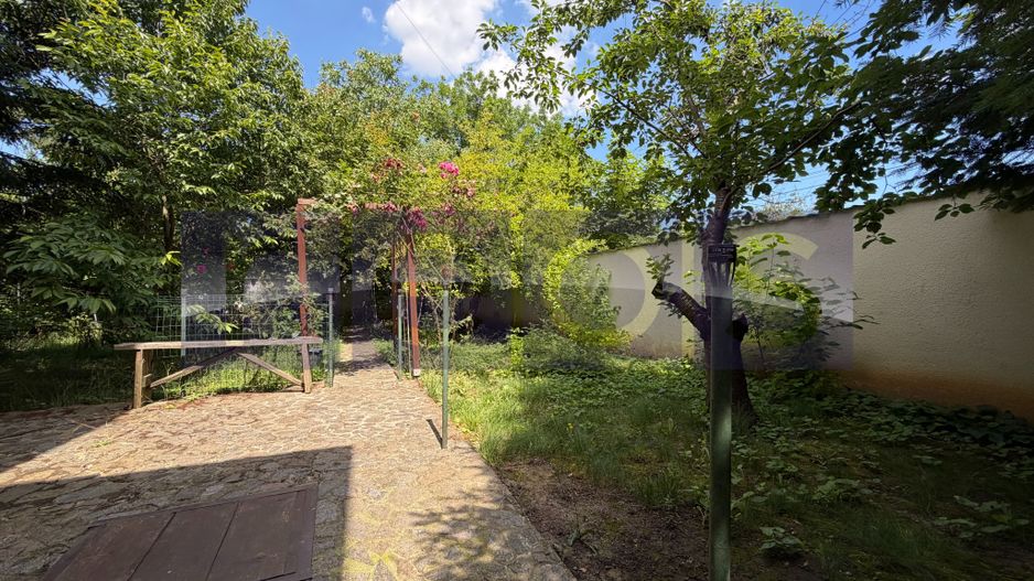 VANZARE VILA 280 MP UTILI | TEREN 900 MP | 5 CAMERE | VOLUNTARI - Poză 20