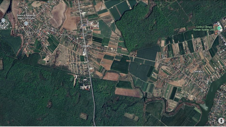 CIOLPANI, 1154 mp. teren intravilan lipit de Padurea Scrovistea - Poză 3