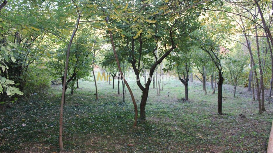 Casă cu priveliște de poveste – Crasna, Gorj - Poză 32